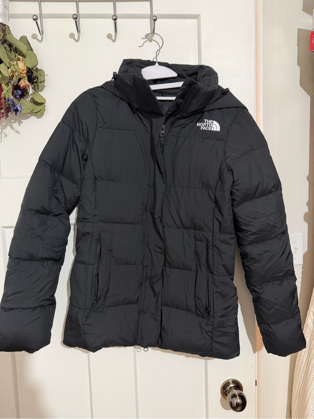 The north face 550